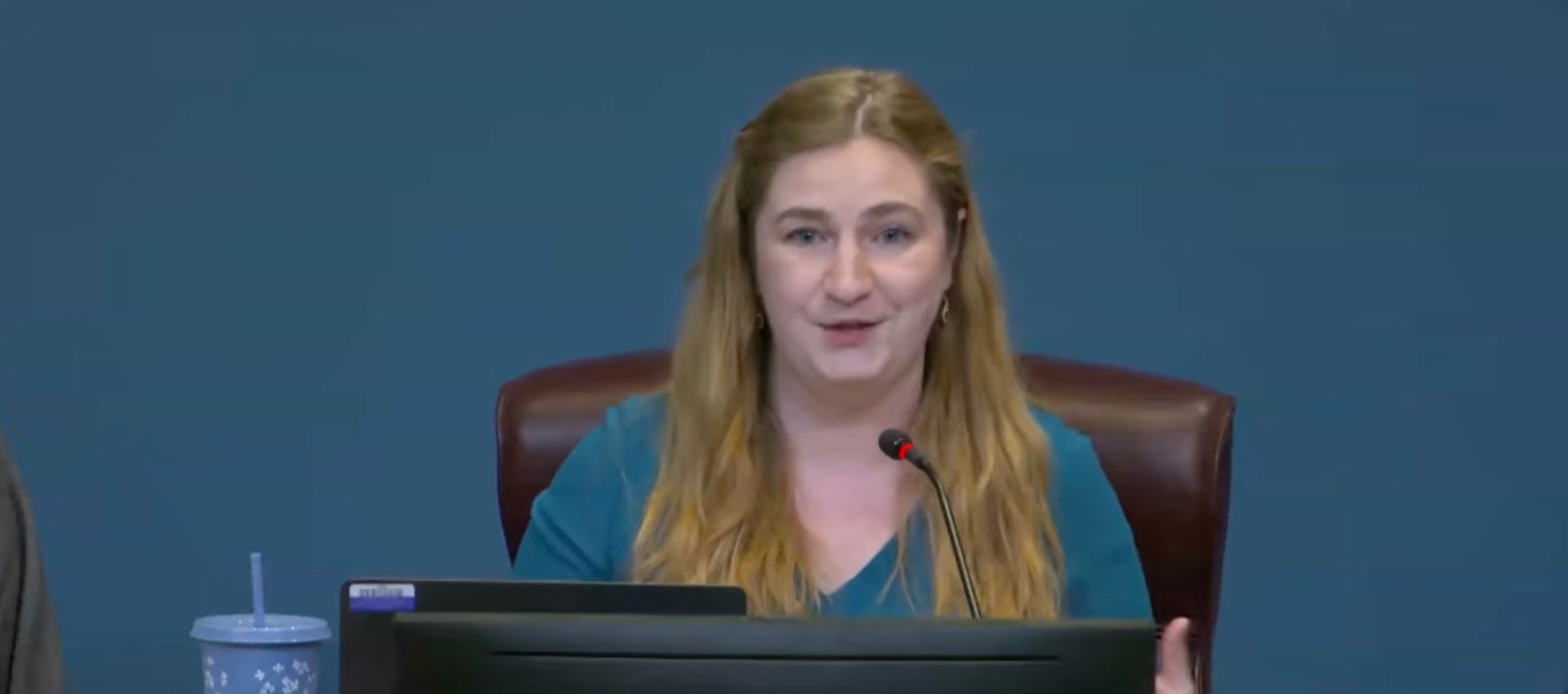 Vice Chair Maureen Coffey