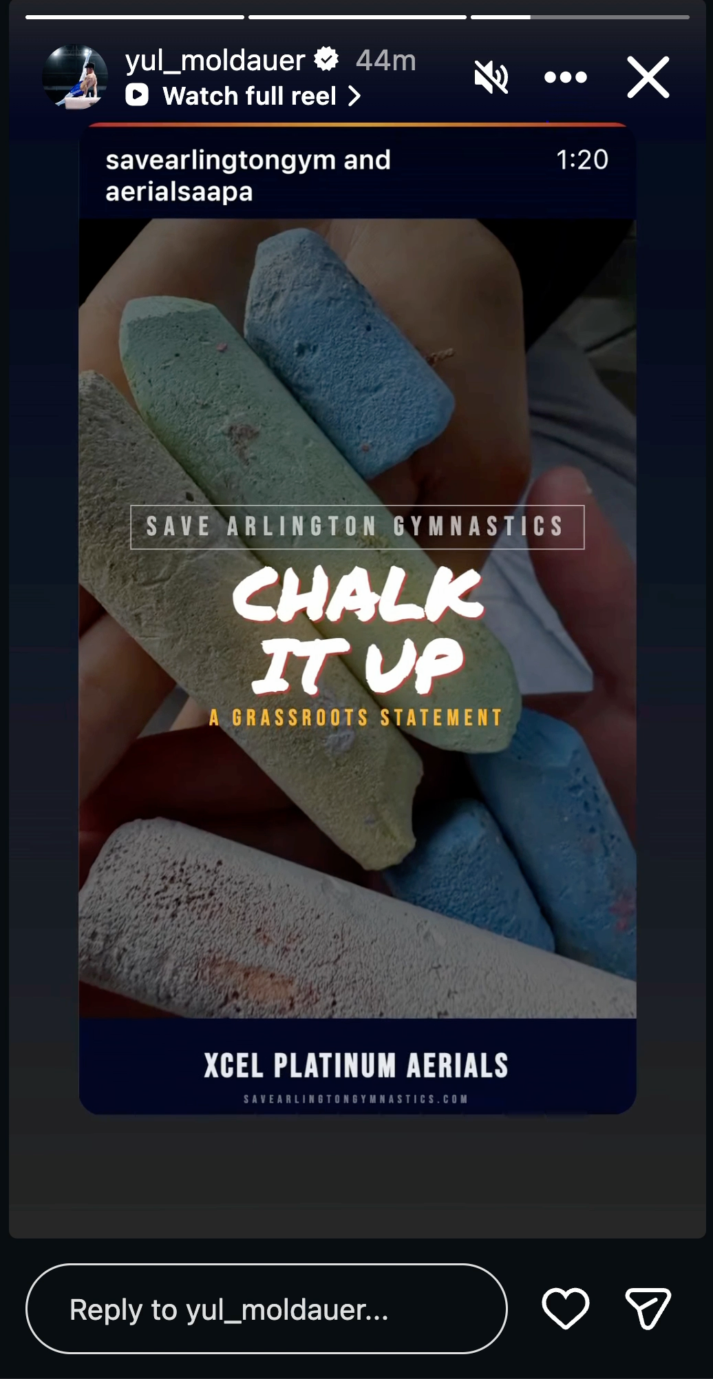 Yul Moldauer Instagram story